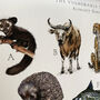 Limited Edition 'Vulnerable Species' Alphabet Print, thumbnail 7 of 12