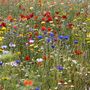 Personalised 10th Birthday Wildflower Meadow Gift, thumbnail 2 of 3