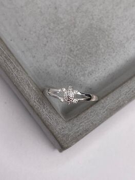 925 Sterling Silver Turtle Toe Ring, 4 of 6