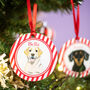 Personalised Dog Christmas Decoration Candy Cane Stripes, thumbnail 1 of 9