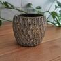 Moroccan Style Decorative Ceramic Planter / Plant Pot, thumbnail 2 of 3