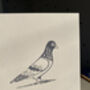Hand Printed Pigeon Card, thumbnail 6 of 6
