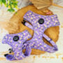 Lucky Little Lavender Daisies Dog Harness, thumbnail 1 of 3