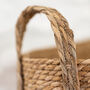 Seagrass Plant Or Storage Baskets With Handles Oval, thumbnail 4 of 6