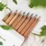 Set Of Five Herb Growing Pencils, thumbnail 2 of 6
