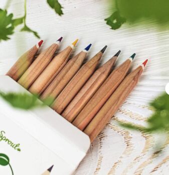 Set Of Five Herb Growing Pencils, 2 of 6