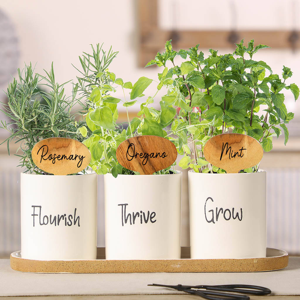Ceramic Kitchen Herb Planters With Personalised Markers, 1 of 6