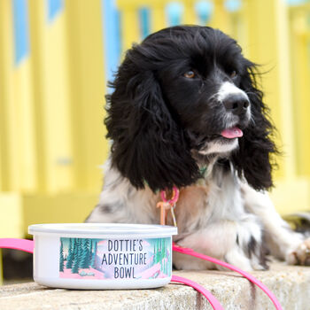 Adventure Awaits Personalised Enamel Pet Bowl, 10 of 10