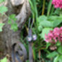 Fun Snail Garden Feature, Handmade In Norfolk, UK, thumbnail 9 of 12