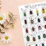 The A To Z Of Beetles Print, thumbnail 5 of 6