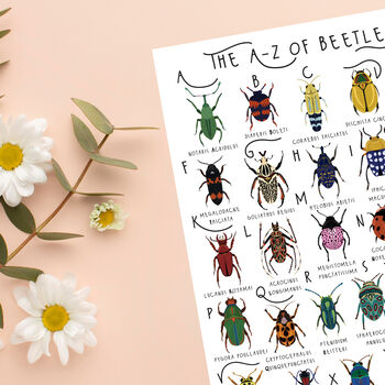 The A To Z Of Beetles Print, 5 of 6