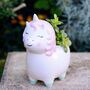 Unicorn Planter With Choice Of Plants, thumbnail 2 of 7