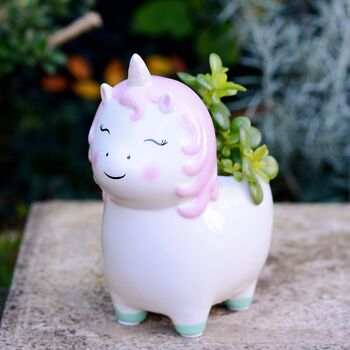 Unicorn Planter With Choice Of Plants, 2 of 7