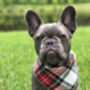 Alfies Red And White Tartan Plaid Dog Celebration Bandana, thumbnail 3 of 7