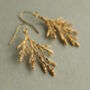 Conifer Tree Branch Earrings, thumbnail 1 of 7