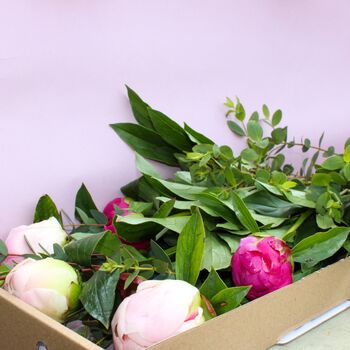 Letterbox Friendly Fresh Postal Peonies, 2 of 4