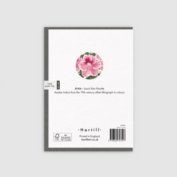 Art Greeting Card Azalea Indica Flower, 2 of 3