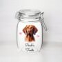 Personalised Vizsla Kilner Style Dog Treat Jar, thumbnail 1 of 2