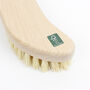 Sustainable Wood Scrubbing Brush With Plant Bristles, thumbnail 6 of 7