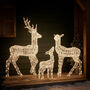 Twinkly Smart LED Light Up Christmas Reindeer Family, thumbnail 11 of 12