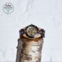 The Rosewood: Handmade Mechanical Wood Watch For Men, thumbnail 1 of 5