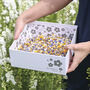 Biodegradable Wedding Display Confetti Box, thumbnail 5 of 6
