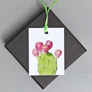 Gift Tags With Prickly Pear Illustration, 3 of 4