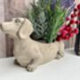 Grey Dachshund Planter Sausage Dog Flower Pot Home Decor, thumbnail 11 of 11