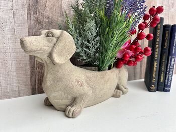 Grey Dachshund Planter Sausage Dog Flower Pot Home Decor, 11 of 11