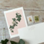 Ivy Botanical Print, thumbnail 3 of 6