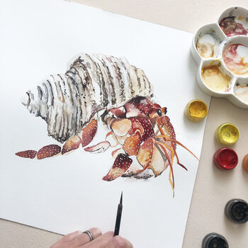 Hermit Crab Art Print, 3 of 3