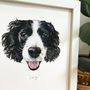 Hand Painted Personalised Custom Dog Portrait, thumbnail 1 of 7