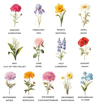 Birth Flower Mum Print, 2 of 7