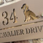 Personalised Spaniel Dog Design House Acrylic Number Sign, thumbnail 5 of 8