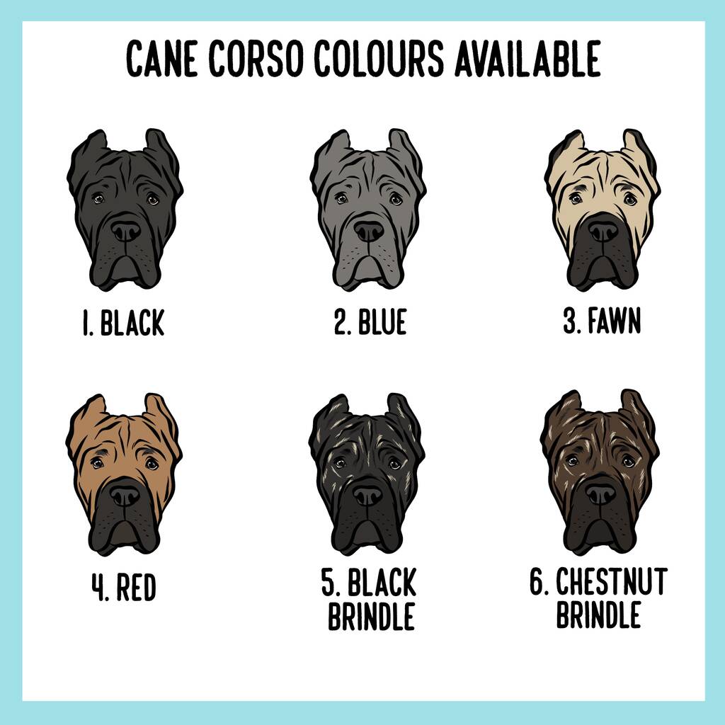 Cane best sale corso baby