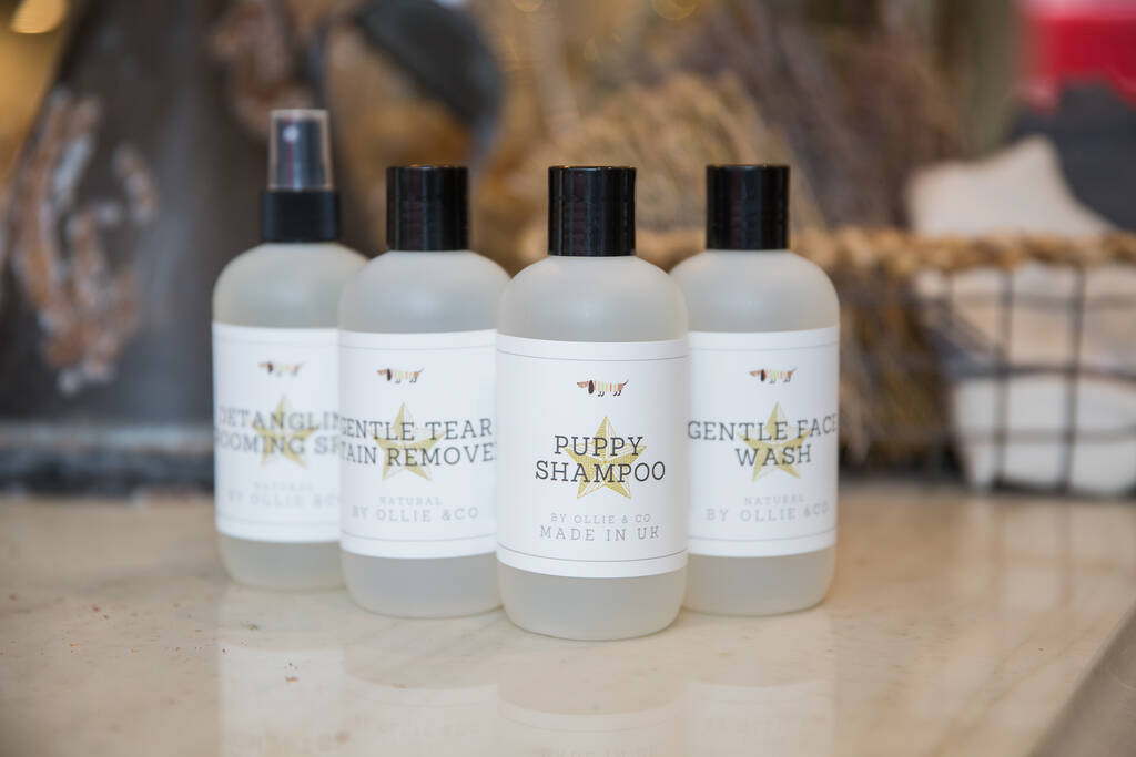 b3 dog shampoo