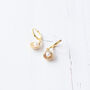 Gold Plated Shell Earrings, thumbnail 4 of 10