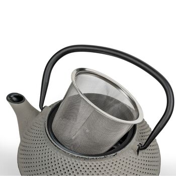 Cast Iron Teapot Jang Stainless Steel Fine Mesh Filter, 4 of 5