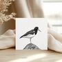 Oystercatcher Bird – Hand Drawn Coastal Greeting Card Illustration, thumbnail 1 of 9