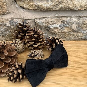 Christmas Black Velvet Dog Collar Bow Tie Lead Gift Set, 3 of 5