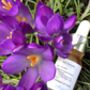 And Breathe Essential Oil Blend, thumbnail 3 of 4
