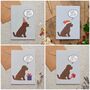 Cockapoo / Labradoodle Dog Walking Socks, thumbnail 11 of 12