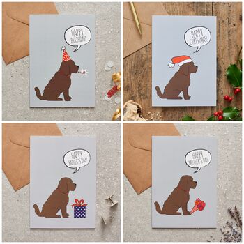 Cockapoo / Labradoodle Dog Walking Socks, 11 of 12