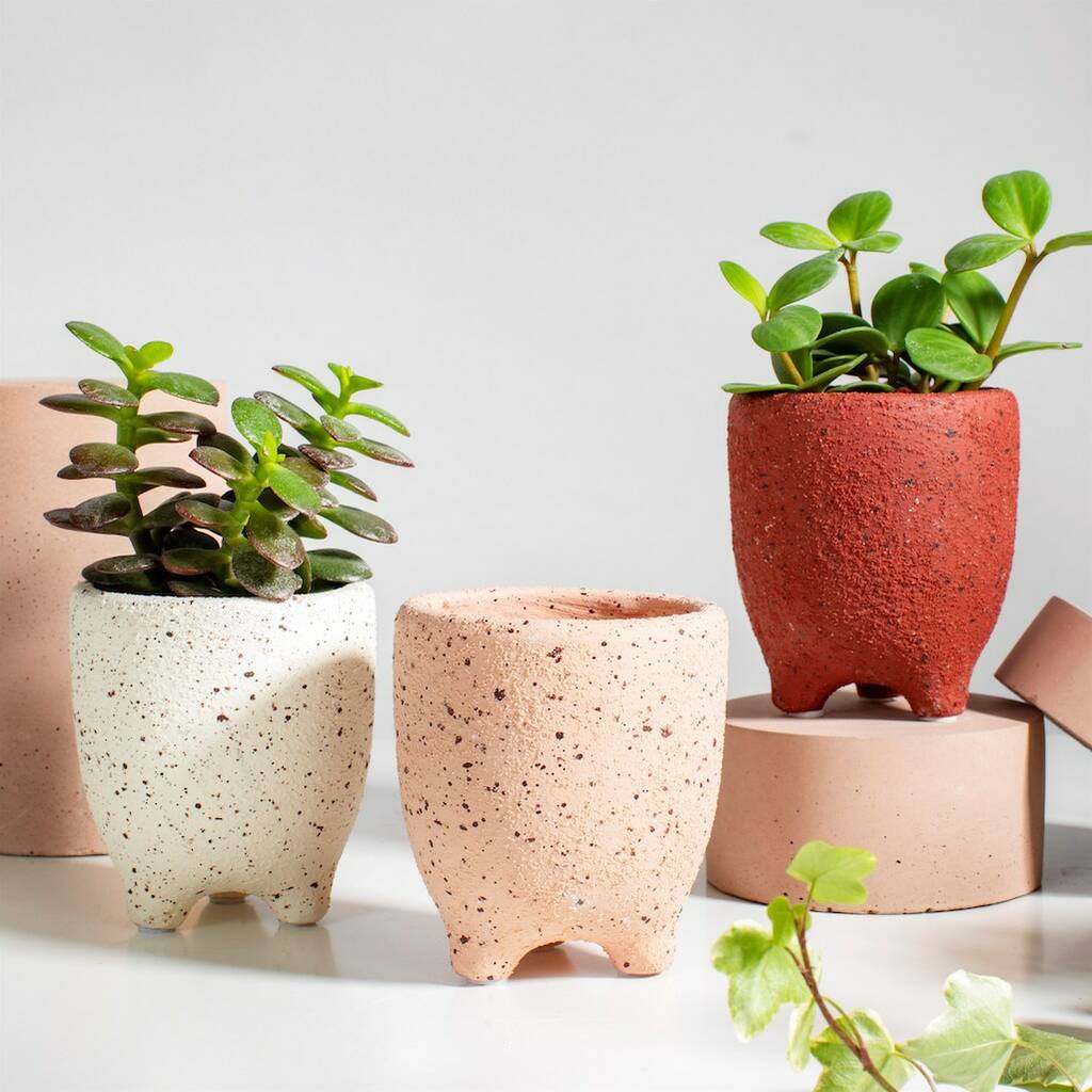 Mini Speckled Plant Pots, 1 of 2