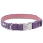 Sasha's Purple Harris Tweed Dog Collar, thumbnail 3 of 5