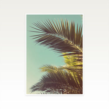 Autumn Palms Photographic Summer Print, 2 of 2