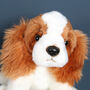 King Charles Spaniel Soft Plush Toy, thumbnail 3 of 5