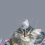 Custom Personalised Pet Portrait With Flowers Cat Dog, thumbnail 7 of 9