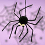 Personalised Felt Spider Hanging Halloween Decoration, thumbnail 4 of 5
