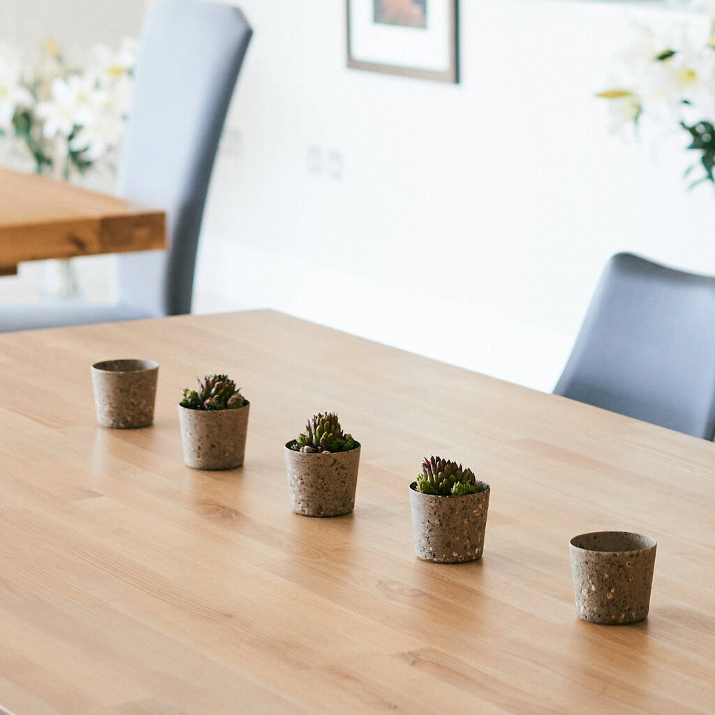 Image of Mini Bamboo Plant Pot Set Of Five